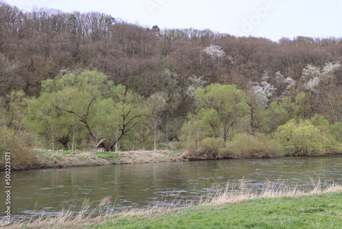 Εκτύπωση καμβά Frühling an der Fulda bei Guntershausen