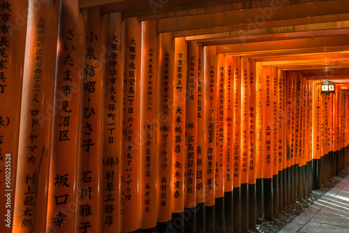 Senbon Torii path in the Fushimi-Inari Taisha Shinto Shrine, Kyoto