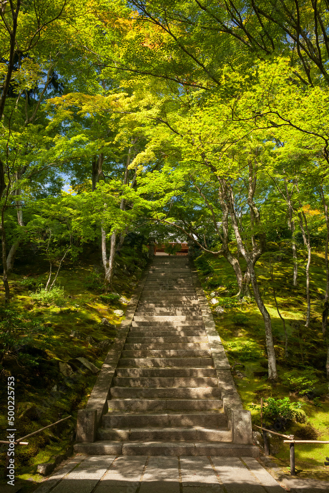 Access stairs to Jojakko-Ji Buddhist Temple in the Arashiyama District woods, Kyoto