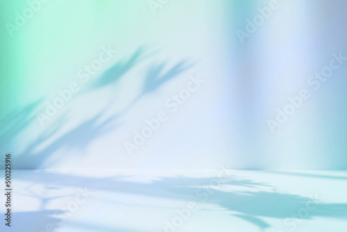 Abstract blue studio background for product presentation. Empty room with shadows of window and flowers and palm leaves . 3d room with copy space. Summer concert. Blurred backdrop.