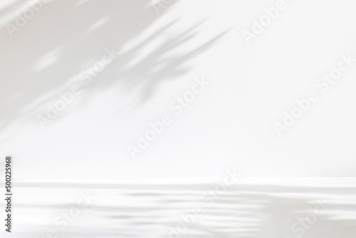 Abstract white studio background for product presentation. Empty room with shadows of window and flowers and palm leaves . 3d room with copy space. Summer concert. Blurred backdrop.