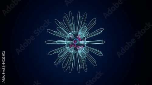 3d illustration of actinophyrs anatomy photo