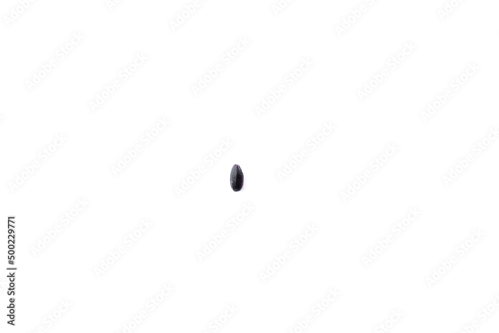 one grain of black rice in the middle of white background, close-up isolated one grain of black rice in the middle of white background, close-up isolated