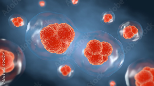 3D rendering ，Cell division process