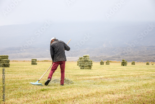 Photos man raking straw, hay and grass in the field and there are some bales