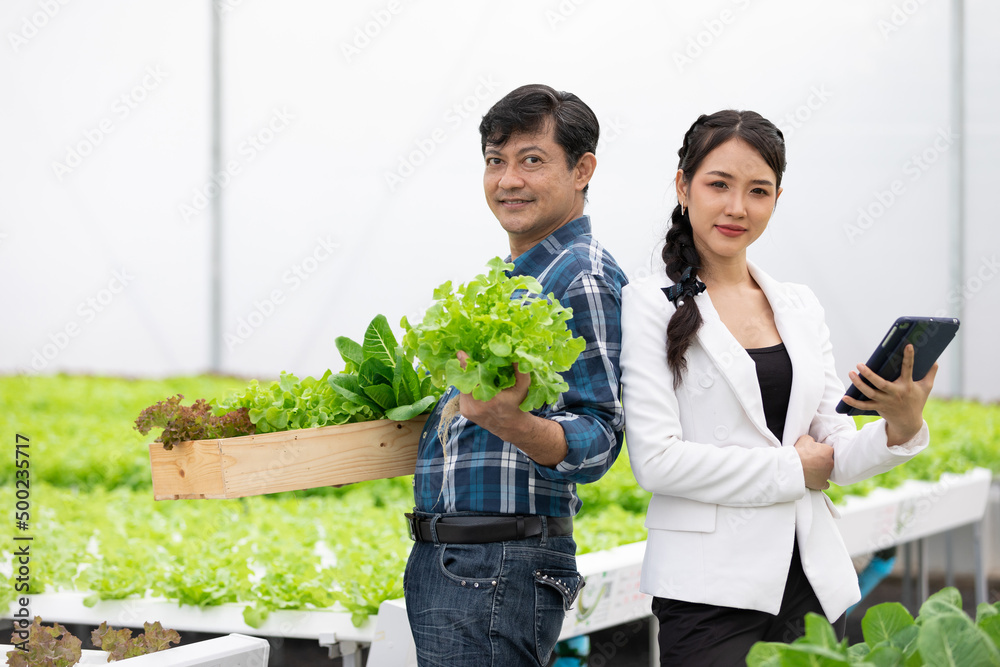 businesswoman and farmer picking and showing organic vegetables together in hydroponic farm businesswoman and farmer picking and showing organic vegetables together in hydroponic farm