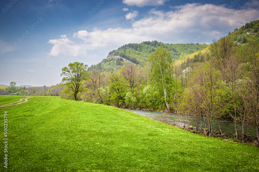 A natural landscape with a picturesque stream or river.
