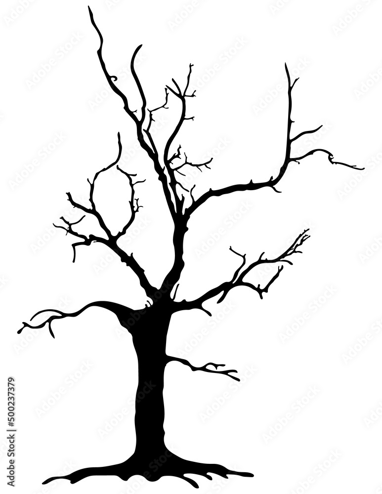 Tree silhouette on white background Tree silhouette on white background
