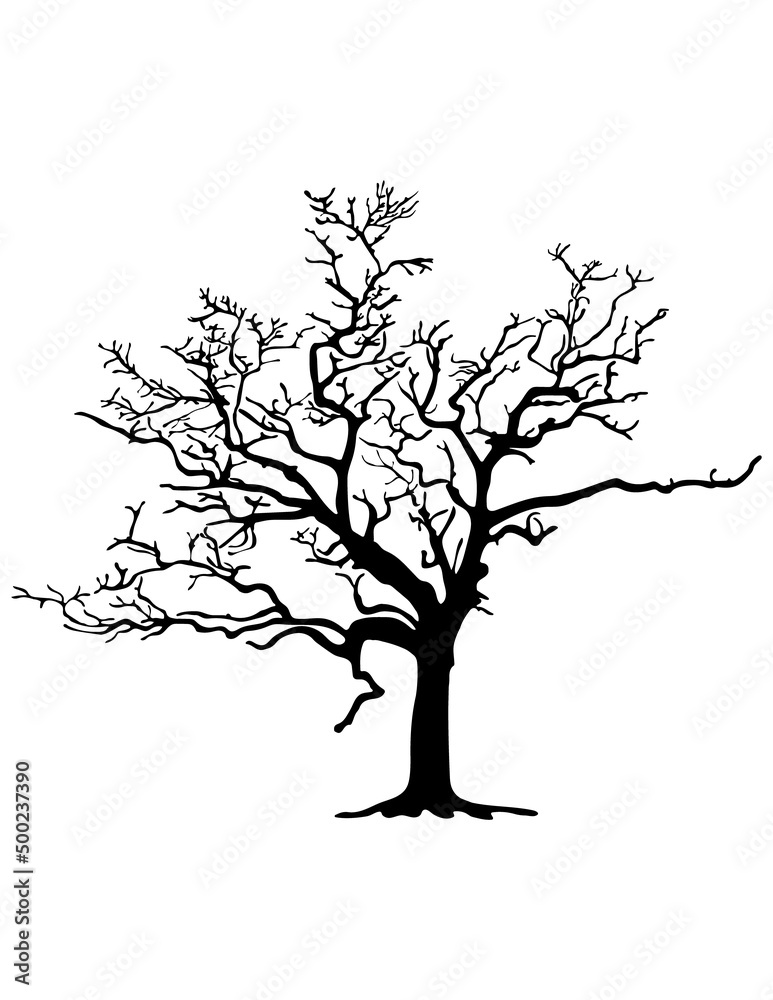 Tree silhouette on white background