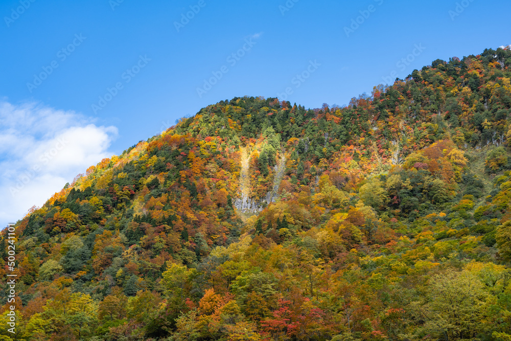 青いお空と秋色に染まる山々