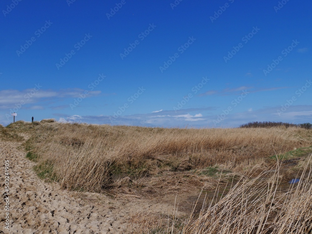 Düne an der Nordseeküste in Cuxhaven Düne an der Nordseeküste in Cuxhaven