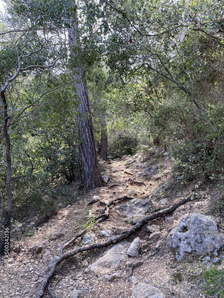 rock mountain uphill trail. Chalysh mountain in Kemer, Turkey rock mountain uphill trail. Chalysh mountain in Kemer, Turkey