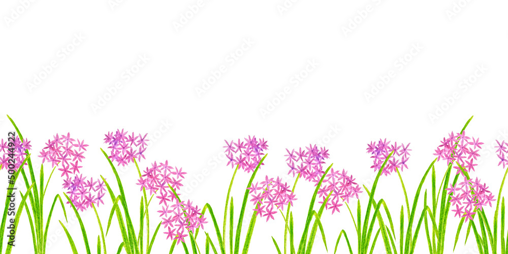Border of pink flowers with leaves on a white background. Horizontal seamless pattern. Border of pink flowers with leaves on a white background. Horizontal seamless pattern.