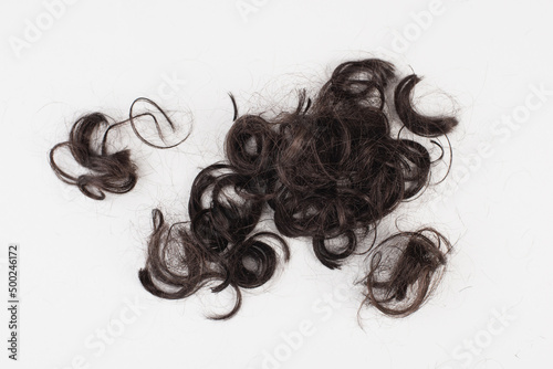 Fotografie Dark black curly human hair isolated on a light gray background