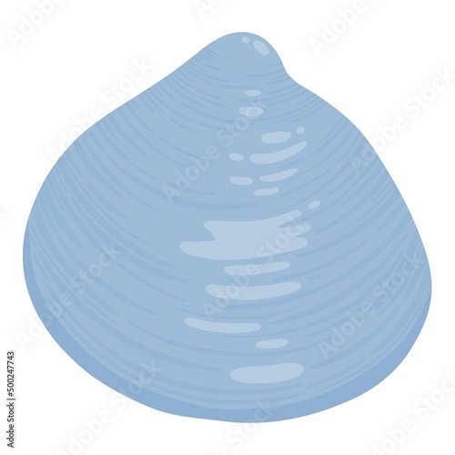 Sea shell, starfish. Underwater mollusk animal. Marine mollusc seashell, scallop, snail, cockleshell, mussel and conches. Vector illustration of shellfish isolated on white background