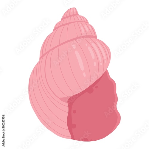 Sea shell, starfish. Underwater mollusk animal. Marine mollusc seashell, scallop, snail, cockleshell, mussel and conches. Vector illustration of shellfish isolated on white background
