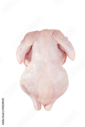 Fresh uncooked chicken isolated on white background. Whole raw broiler hen with skin for cooking. Top view.