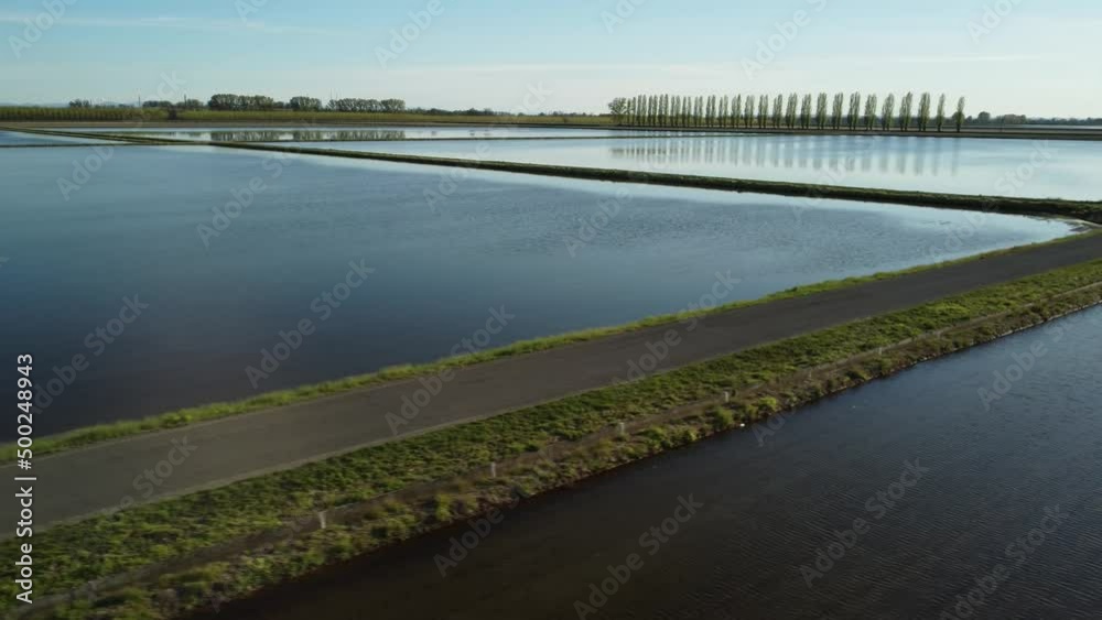 Calm aerial shot over flooded rice field Calm aerial shot over flooded rice field
