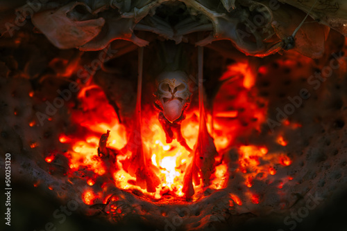 Obraz na plátně a cursed temple seen in a spider crab shell