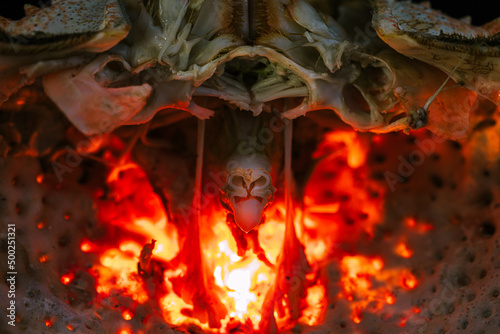 Obraz na plátně a cursed temple seen in a spider crab shell