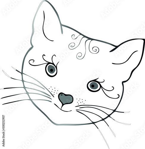 The muzzle of a cute cat . A vector file is useful for creating designs.