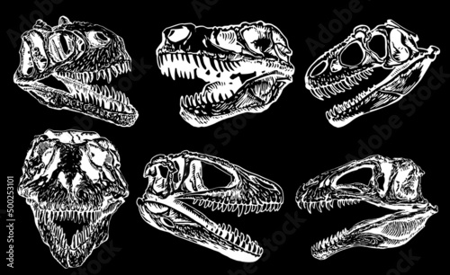 Graphical set of skulls of tyrannosaurus isolated on black background,paleontological elements 