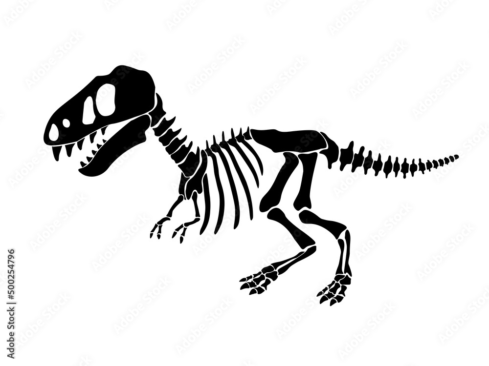 Vector illustration with dinosaur skeleton isolated on a white background. Vector illustration with dinosaur skeleton isolated on a white background.
