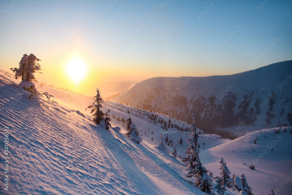 magnificent snow-covered mountain slopes with trees against the sky and the sun