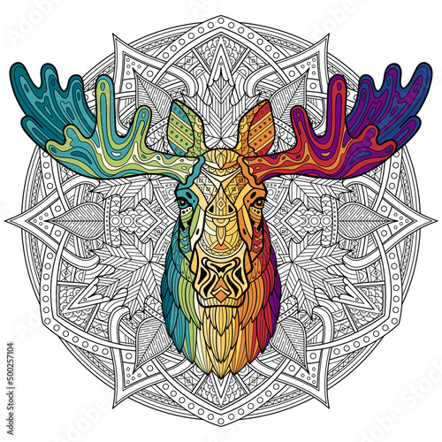 Elk. Moose. Head of a horned elk. Hand-drawn moose portrait. Sketch graphics colorful illustration on a patterned background. Patterned head of an animal. Full face. Ethnic motif. Vector illustration