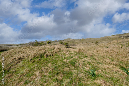 Natuurgebied "de Tuinen" op Texel 