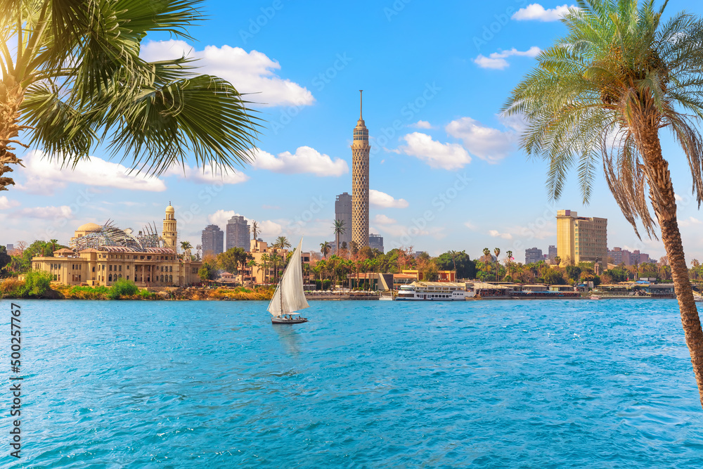 Cairo downtown behind the palms and sailboat in the Nile, Egypt, Africa - obrazy, fototapety, plakaty 
