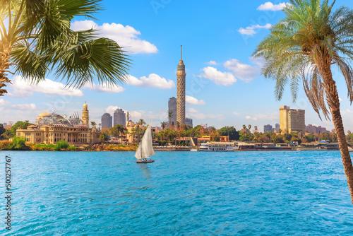 Cairo downtown behind the palms and sailboat in the Nile, Egypt, Africa