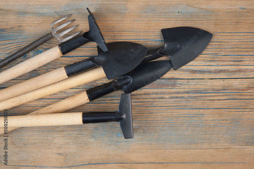 Garden tools, shovels, rakes on wooden background. equipment for gardening