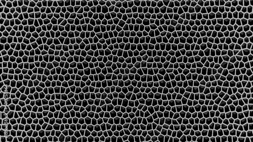 black and white background