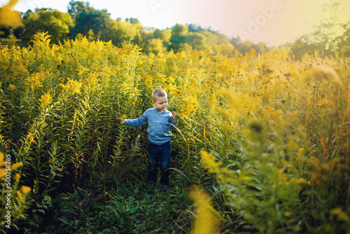Boy walking through a field of flowers in the evening sunshine © Katie