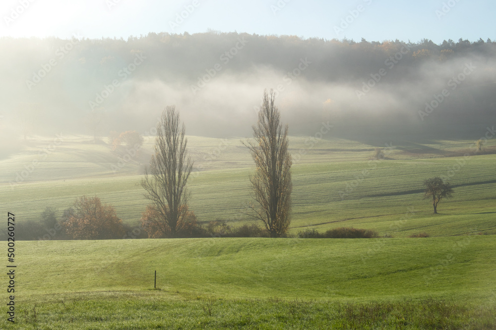 Fototapeta premium Fog over a hill and meadow with trees on a sunny fall day in Rheinland Pfalz, Germany.