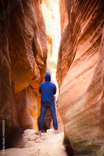 View from a red Canyon