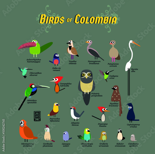 Birds of Colombia
