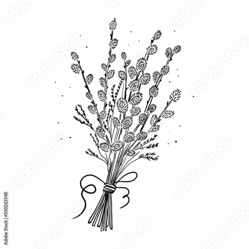 Bouquet of willow twigs, hand drawing
