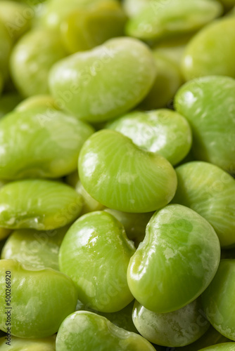 Organic Raw Steamed Green Lima Beans © Brent Hofacker