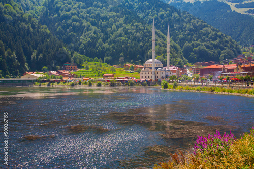 Vászonkép Westh turkey uzungol karadeniz trabzon national park naitonal geographic yayla m
