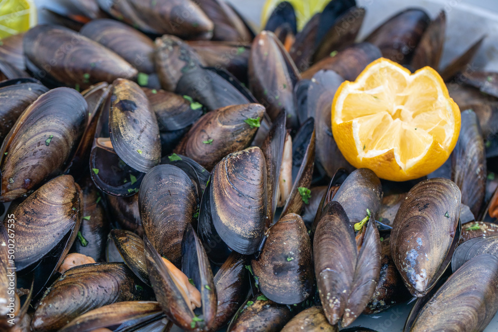 Close up of a plate with freshly coocked mussels , organic food Close up of a plate with freshly coocked mussels , organic food