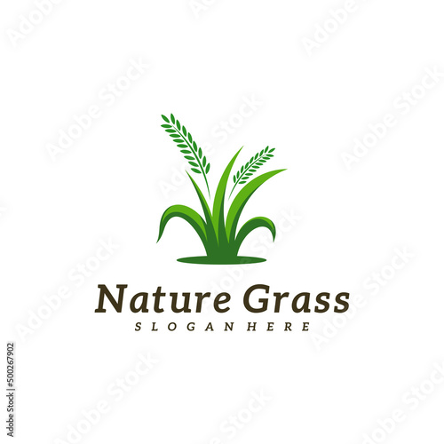 Nature Grass logo design vector, Creative Grass logo design Template Illustration