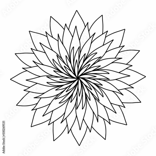 Floral  hand drawn aster mandala flowers in doodle style isolated on white background. Elegant coloring page for seasonal design  decoration kids playroom or greeting card. Chrysanthemum  Lotus.
