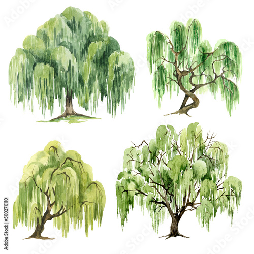 Watercolor Green Willow tree set