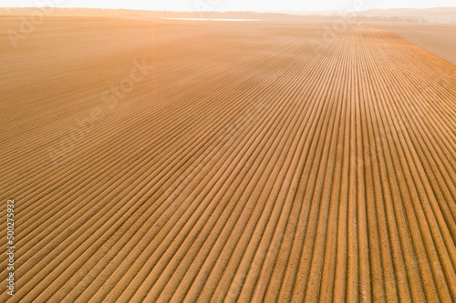 Aerial view of the agricultural field with furrows on soil at sunset
