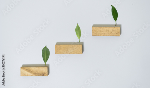 Fototapeta Naklejka Na Ścianę i Meble -  wooden block on wood background planning in business model