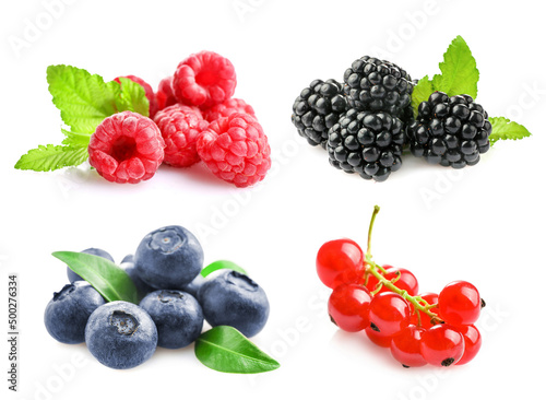 Set of different wild fresh berries isolated on white background