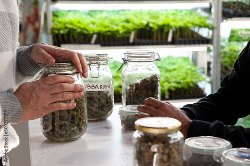 Bologna, Italy - 2022, April 8: Jars full of dried cannabis flowering tops at the trade show Indicasativa 2022, devoted to the hemp world..