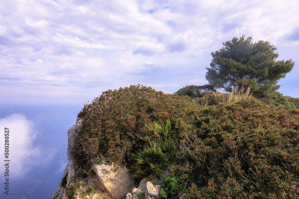 Sicilian Spring Coastal Hills on a lovely spring day in Italy, Europe Sicilian Spring Coastal Hills on a lovely spring day in Italy, Europe
